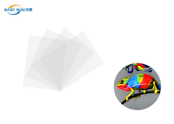 Un buen precio. Color blanco de la anchura los 60cm los 33cm los 30cm DTF de la película convencional de la transferencia de calor en línea