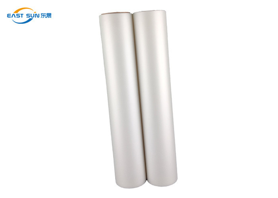 Good price transferencia de calor los 60cm fría del carrete de película de impresión del ANIMAL DOMÉSTICO DTF de la cáscara de los 30cm los 33cm en línea